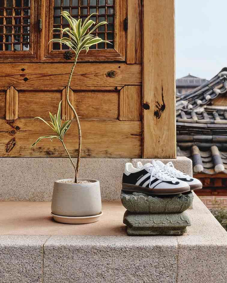 为何 adidas 在韩国「红到发紫」？(图27)