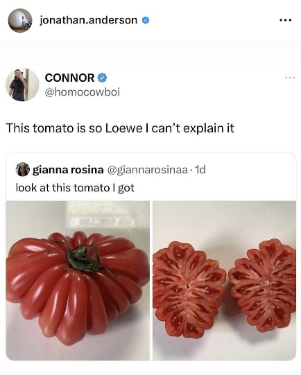 静奢风席卷时尚圈 主流奢侈品牌如何平衡低调奢华与张扬标识(图25)