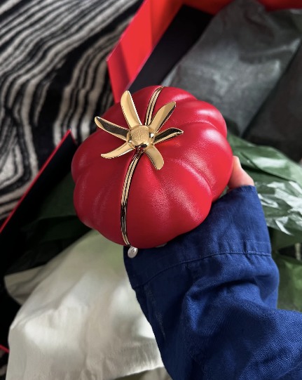 静奢风席卷时尚圈 主流奢侈品牌如何平衡低调奢华与张扬标识(图27)