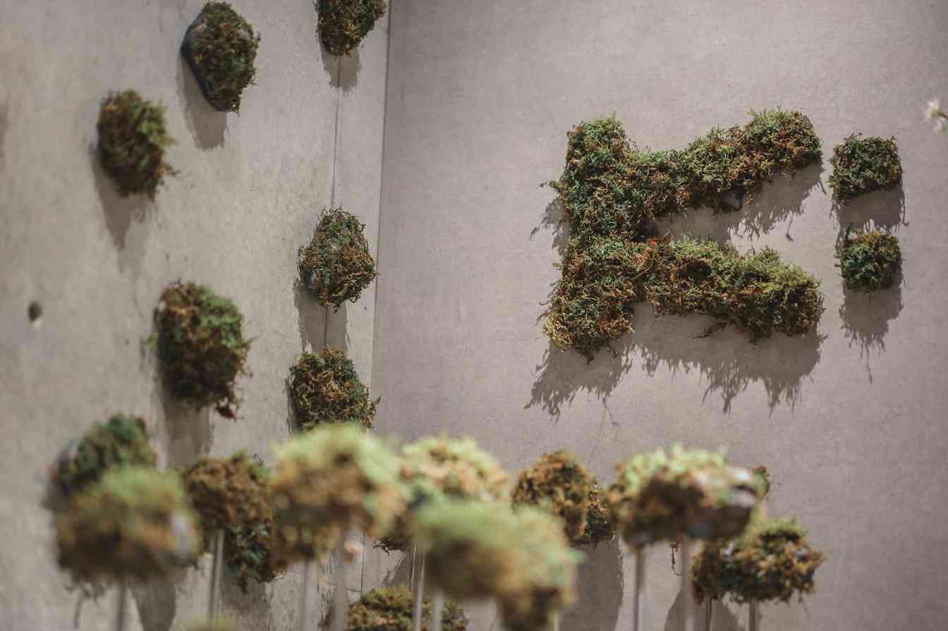 可隆的先锋进化：如何在 Quiet Outdoor 赛道中实现时尚与自然同频？(图28)