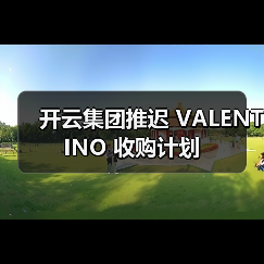 开云集团推迟 VALENTINO 收购计划(图3) 开云集团推迟VALENTINO收购,战略合作深化(图3)