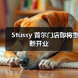 首尔Stüssy门店关闭后重启，官方直营模式引发关注(图1)