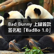 Bad Bunny 上脚首款签名鞋「BadBo 1.0」(图1) Bad Bunny联名adidas亮相,融合复古与现代设计引导潮流(图1)