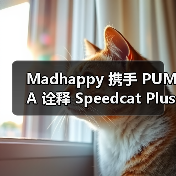 Madhappy 携手 PUMA 诠释 Speedcat Plus 鞋款(图2) Speedcat Plus联名设计注入街头气息(图2)