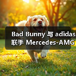Bad Bunny 与 adidas 联手 Mercedes-AMG PETRONAS F1 车队推出联名系列(图3) Bad Bunny x Adidas F1赛车灵感胶囊系列发布(图3)