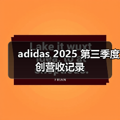 adidas 2025 第三季度创营收记录(图4) adidas 2025 第三季度创营收记录(图4)