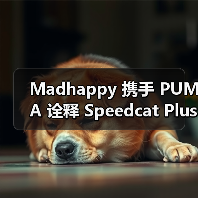 Madhappy 携手 PUMA 诠释 Speedcat Plus 鞋款(图4) Madhappy 携手 PUMA 诠释 Speedcat Plus 鞋款(图4)