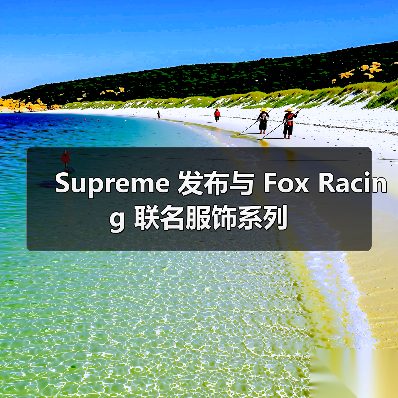 Supreme 发布与 Fox Racing 联名服饰系列(图3) Supreme与Fox Racing联名致敬DMX主题服饰系列(图3)