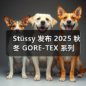 Stüssy 发布 2025 秋冬 GORE-TEX 系列(图1) Stüssy 发布 2025 秋冬 GORE-TEX 系列(图1)