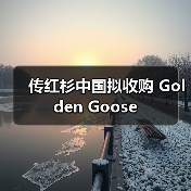 传红杉中国拟收购 Golden Goose(图3) 传红杉中国拟收购 Golden Goose(图3)