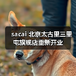 sacai 北京太古里三里屯旗舰店重新开业(图4)
