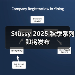 2025秋季系列融合西海岸街头风与Nerd潮流(图4)