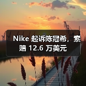 Nike起诉陈冠希商标侵权争议金额遭误报更正为12.6万美元(图2)