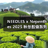 NEEDLES x Nepenthes 2025 秋冬胶囊系列发布(图3) NEEDLES x Nepenthes 2025 秋冬胶囊系列发布(图3)