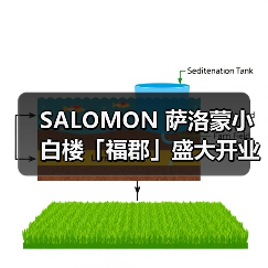 SALOMON 萨洛蒙小白楼「福郡」盛大开业(图3) 上海安福路萨洛蒙新店开业 融合法式潮流与城市语境(图3)