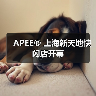 APEE® 上海新天地快闪店开幕(图1) 少女心形迷彩引领潮流革命:日本街头潮牌APEE回归(图1)