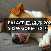 PALACE 2025 GORE-TEX系列冬季潮流服饰发布(图2)