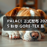 PALACE 2025 GORE-TEX系列冬季潮流服饰发布(图3)