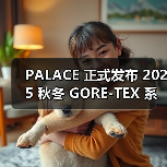 PALACE 2025 GORE-TEX系列冬季潮流服饰发布(图1)