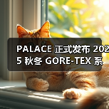 PALACE 2025 GORE-TEX系列冬季潮流服饰发布(图4)