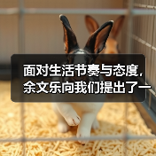 生活态度的留白与闪耀(图3)