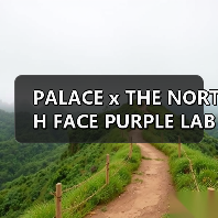 PALACE x THE NORTH FACE PURPLE LABEL 胶囊系列登场(图3) 高密度再生尼龙打造PALACE x THE NORTH FACE PURPLE LABEL联名系列(图3)