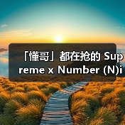 「懂哥」都在抢的 Supreme x N