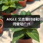2025 SKI系列华南首发体验空间揭幕(图4)