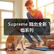Supreme 释出全新 T 恤系列(图3)