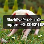 BlackEyePatch x Champion 推出特别定制款卫衣(图4)