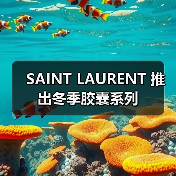 SAINT LAURENT Snow E
