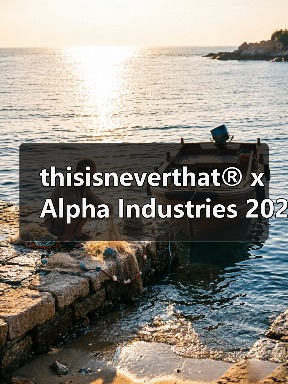 thisisneverthat® x A