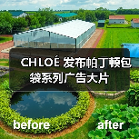 巴黎电影感大片诠释帕丁顿包袋随性奢华新诠释 - 云溯流致裁服装网