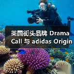英国街头品牌 Drama Call 与 adidas Originals 携手推出合作系列(图4)