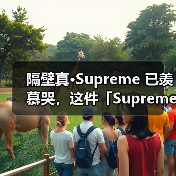 隔壁真·Supreme 已羡慕哭，这件「