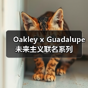 Oakley x Guadalupe 未来主义联名系列(图1)