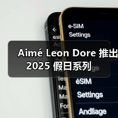 Aimé Leon Dore 推出 2025 假日系列(图2)