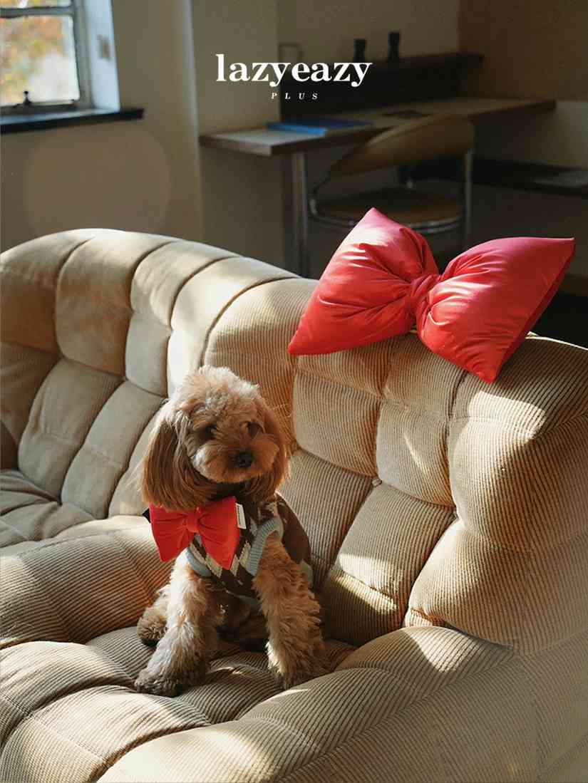 宠物时尚趋势解析：从潮流符号到功能化高端化转变(图19)