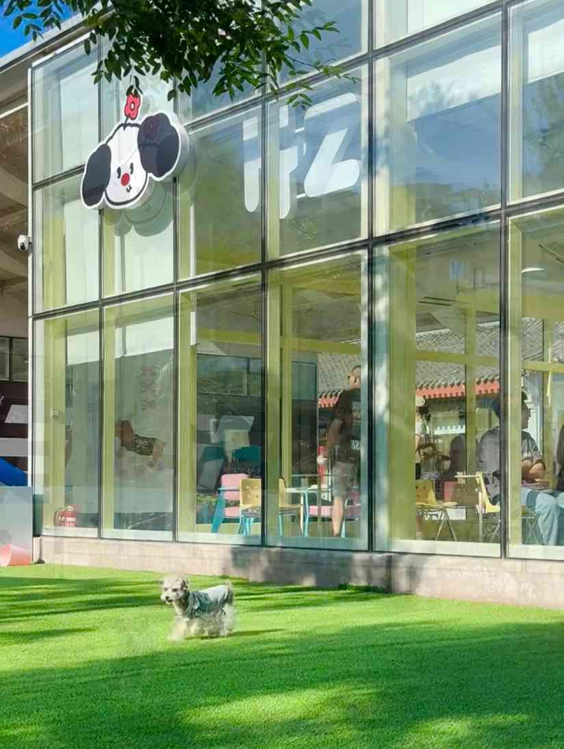 宠物时尚趋势解析：从潮流符号到功能化高端化转变(图25)