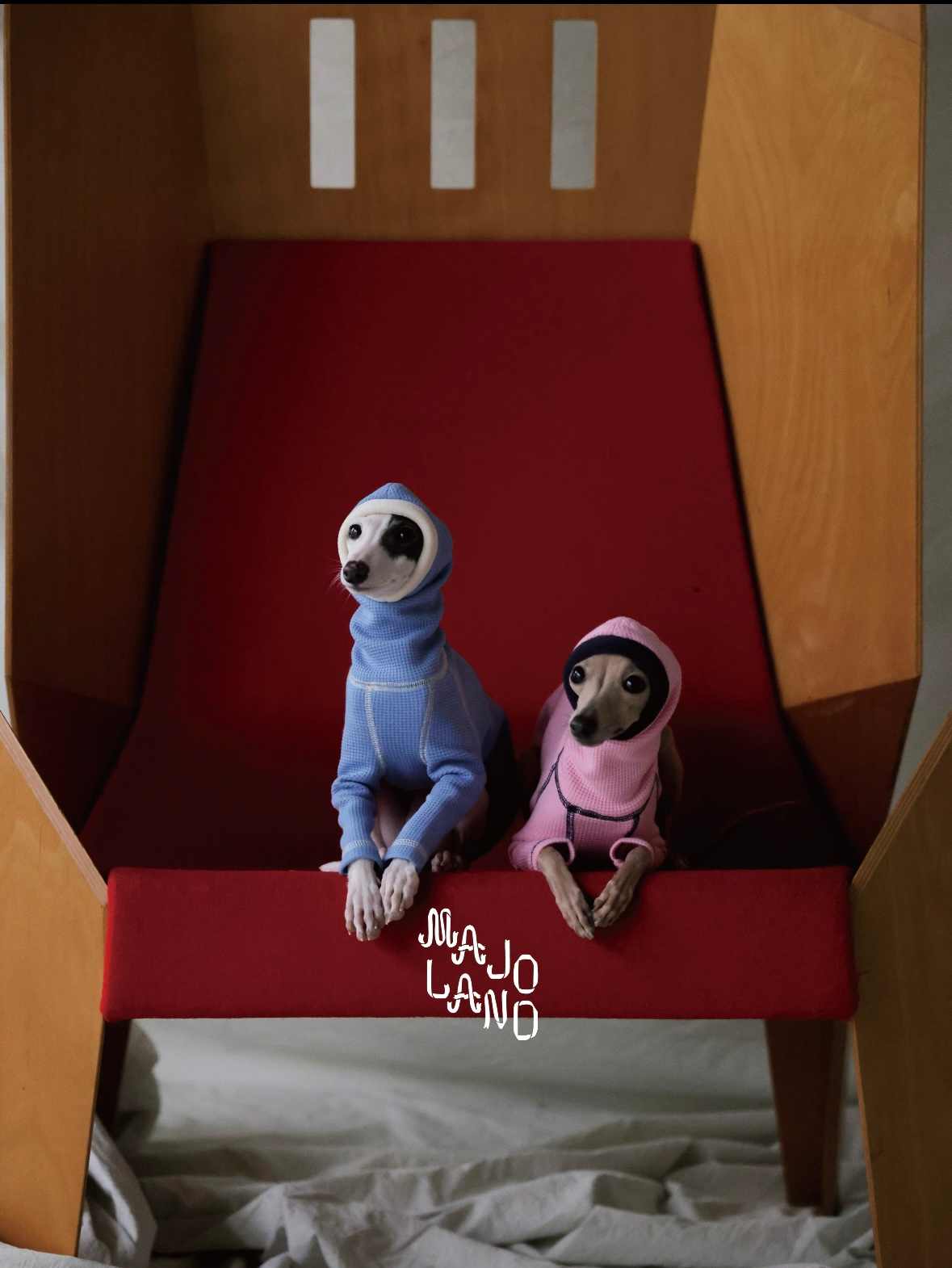 宠物时尚趋势解析：从潮流符号到功能化高端化转变(图20)