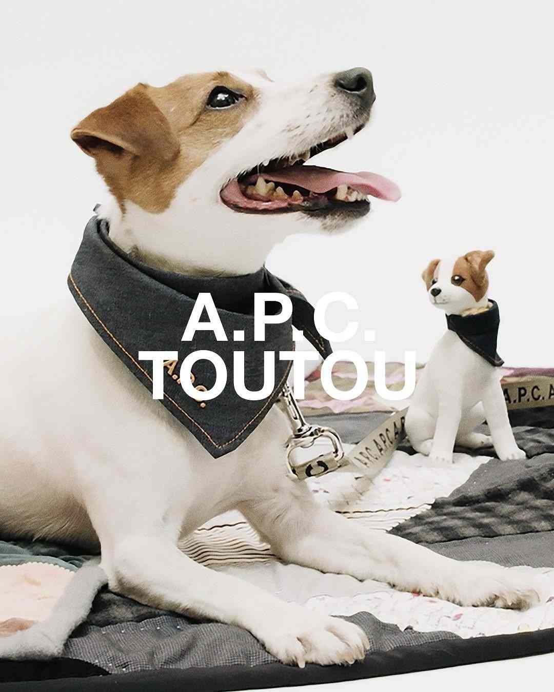 宠物时尚趋势解析：从潮流符号到功能化高端化转变(图23)