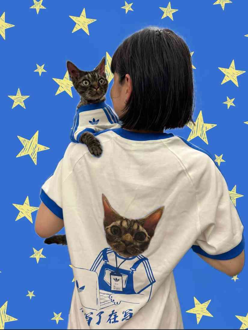 宠物时尚趋势解析：从潮流符号到功能化高端化转变(图12)