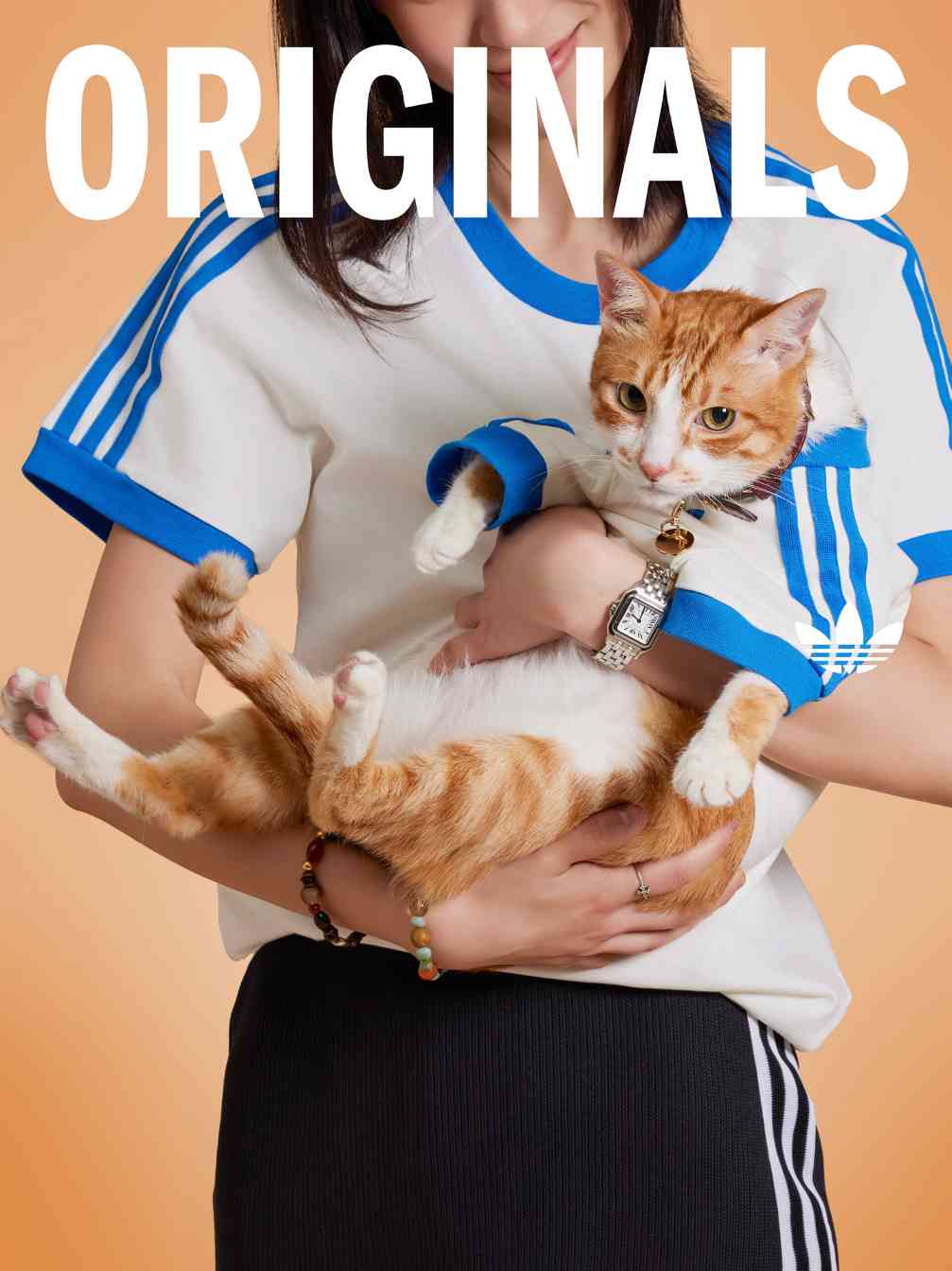 宠物时尚趋势解析：从潮流符号到功能化高端化转变(图3)