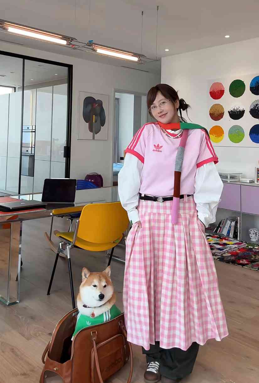 宠物时尚趋势解析：从潮流符号到功能化高端化转变(图11)