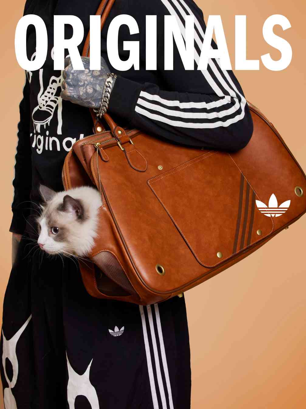 宠物时尚趋势解析：从潮流符号到功能化高端化转变(图4)