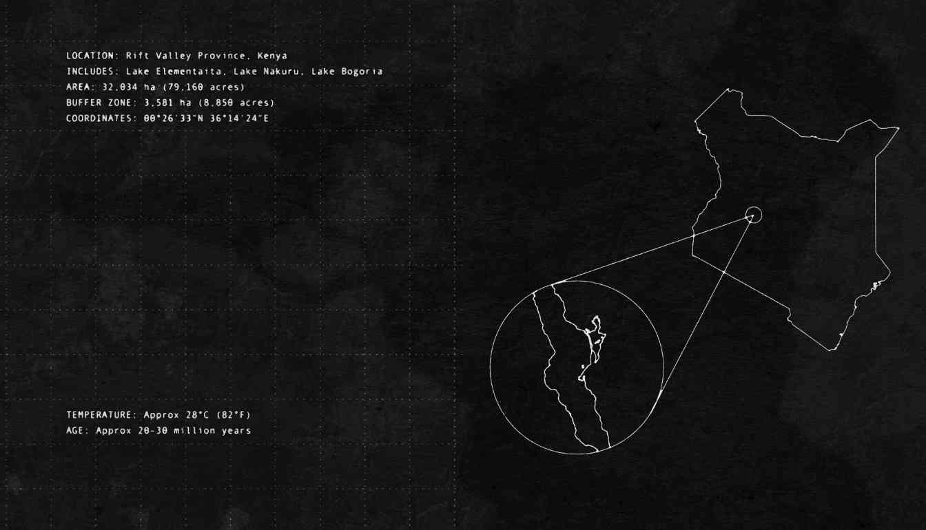 女性化元素如何重塑经典鞋履，芭蕾舞鞋与玛丽珍风格融合新趋势(图9)